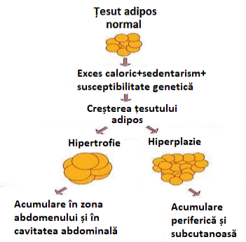Diabet 6